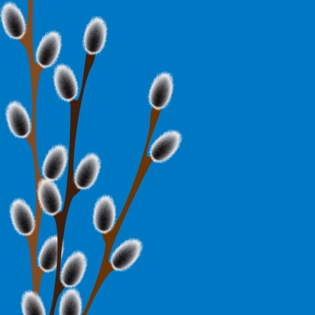 willow branchesのイラスト素材