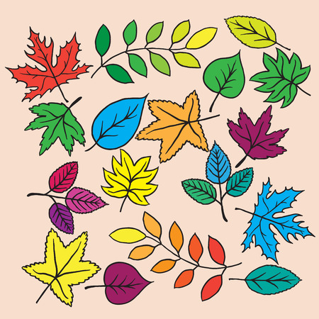 Collection leaves isolated on whiteのイラスト素材