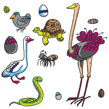 birds and Eggsのイラスト素材