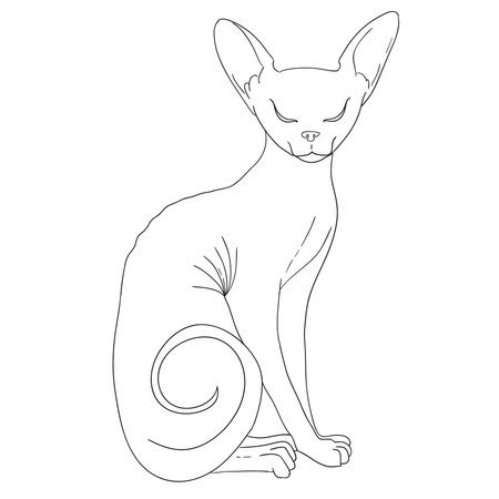 cat black and white sketch cartoon doodle. vector outlineのイラスト素材