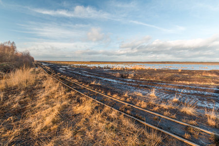 Landscape shot of a peat mining area with rails of a peat railwayの写真素材