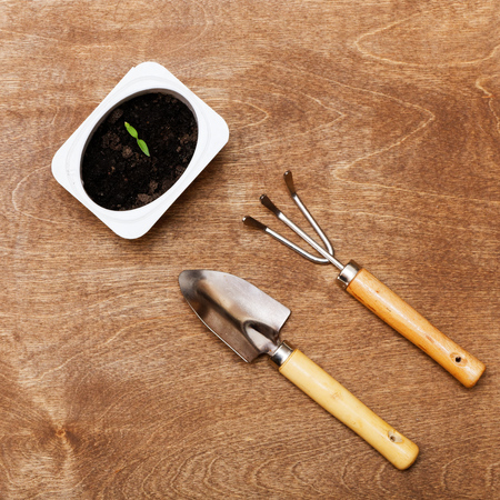 Small Gardening Tools and Little Green Sprout on Woody Backgroundの写真素材