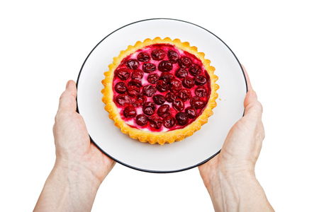 Human hands hold a plate with freshly baked cherry cheese tartlet. Isolated on white.の写真素材