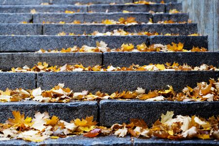 Closeup steps of stone stairway with yellow fall foliage. Shallow focus.の写真素材