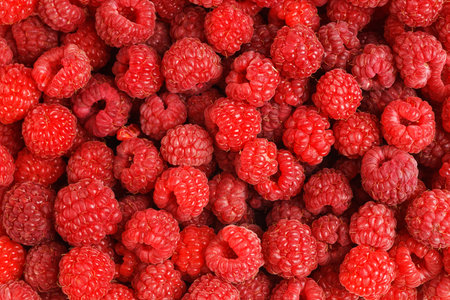 Closeup heap of fresh and ripe red raspberries. Organic food background.