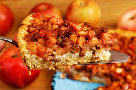 Closeup piece of homemade pie with apples, raisins and cinnamon. Shallow focus.の写真素材