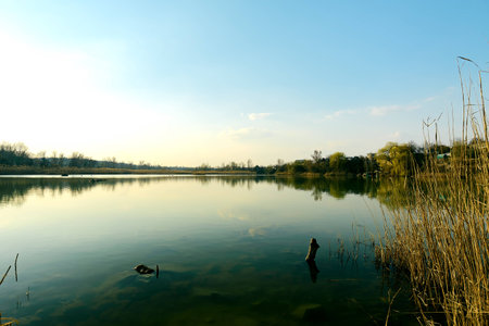Lake in the private sectorの写真素材