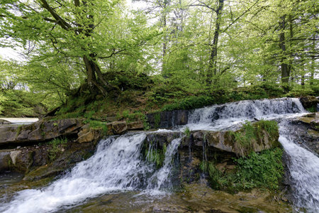 Stryj riverの写真素材