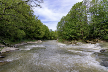 Stryj riverの写真素材