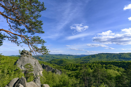 Rocks of Dovbushの写真素材