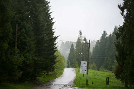 Nature Carpathians in the rainの写真素材