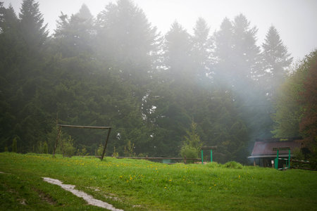 Nature Carpathians in the rainの写真素材