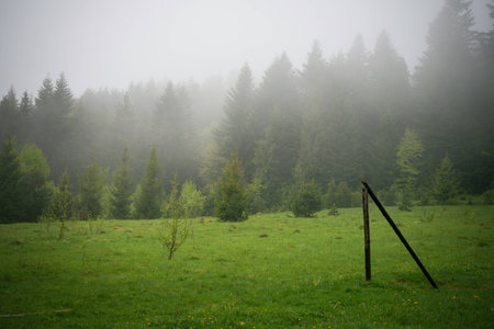 Nature Carpathians in the rainの写真素材
