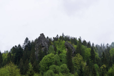 Lviv regionの写真素材