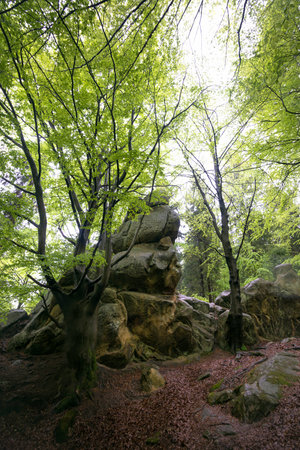 Nature in Tustan. Lviv regionの写真素材