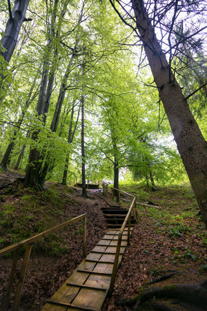 Nature in Tustan. Lviv regionの写真素材