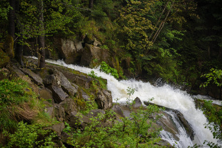 Forest on the Canyanka waterfallの写真素材