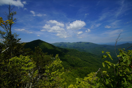 Summer on the Appalachian Trailの写真素材