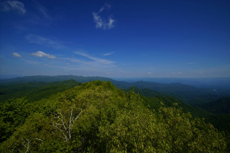 Spring on the Appalachian Trailの写真素材