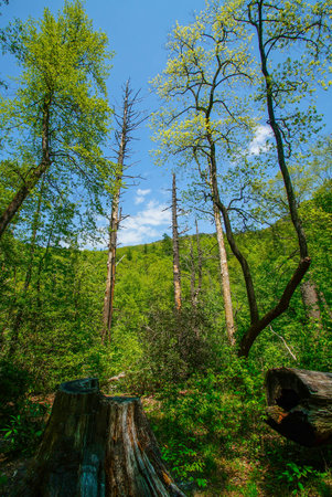 Life After Deathの写真素材