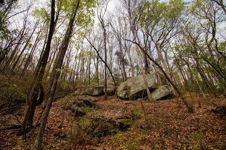 Spring at Table Mountainの写真素材
