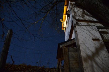 This picture with the title Treehouse_2 was taken by Michael Berghold, an Austrian photographer.の写真素材