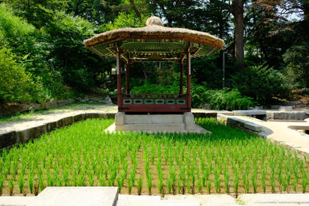 Seoul South Korea - Gyeongbokgung Palace Pavilion in garden areaのeditorial素材