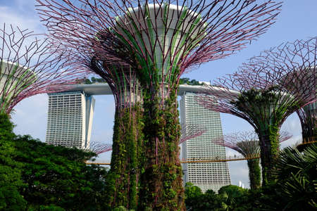 Singapore - Gardens by the Bay Gardens tree top walkのeditorial素材