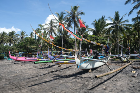 Indonesia Bali Pekutatan - Pantai Medewi - Outrigger fishing boats Medewi Beachのeditorial素材