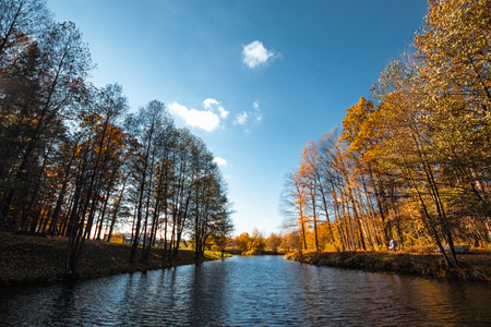 Creative background, nature, Autumn river forest. Golden autumn.の写真素材