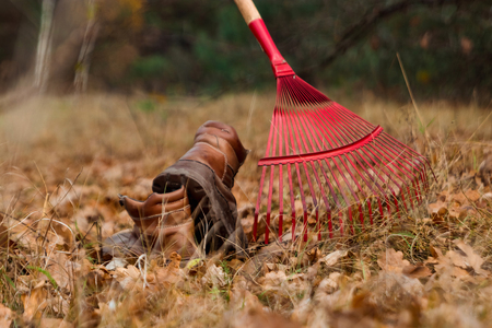 Rake close up. Autumn work in the garden. Concept autumn, yellow leaves, autumn mood. Copy space.の写真素材