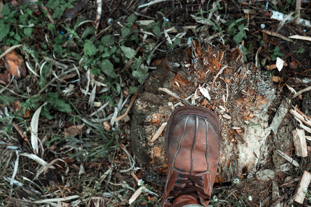 Brown men's shoes on the stump, yellow foliage. Autumn conceptの写真素材