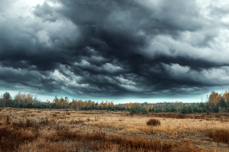Autumn landscape, forest, field, gloomy day, thunderclouds. Concept of autumn, cold, yellow leaves, autumn mood, sadness. Copy space.の写真素材