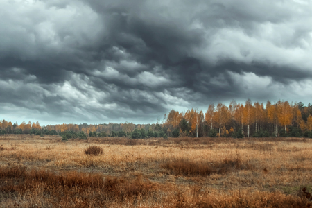 Autumn landscape, forest, field, gloomy day, thunderclouds. Concept of autumn, cold, yellow leaves, autumn mood, sadness. Copy space.の写真素材