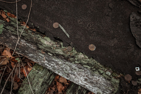 Shingle Roof Covered in Mossの写真素材