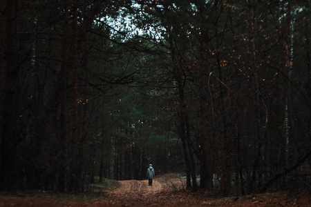 man walking on a path in a strange dark forest with fogの写真素材