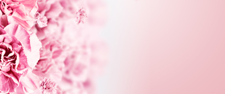 Creative design promo banners, Pink design, light background, Valentine's Day, Women's Day, the eighth of March, hot sale, discounts. Banner, copy space. Mockup, horizontal flyer for printing.の写真素材