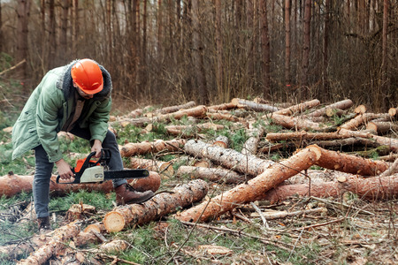 Logging, Worker in a protective suit with a chainsaw sawing wood. Cutting down trees, forest destruction. The concept of industrial destruction of trees, causing harm to the environment.の写真素材