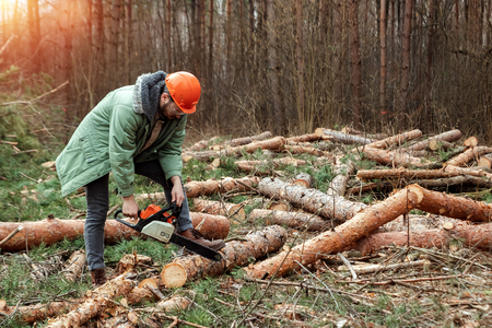 Logging, Worker in a protective suit with a chainsaw sawing wood. Cutting down trees, forest destruction. The concept of industrial destruction of trees, causing harm to the environment.の写真素材