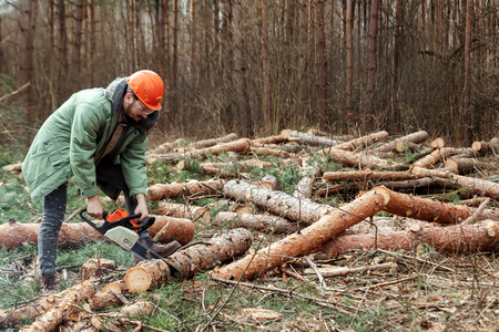 Logging, Worker in a protective suit with a chainsaw sawing wood. Cutting down trees, forest destruction. The concept of industrial destruction of trees, causing harm to the environment.の写真素材