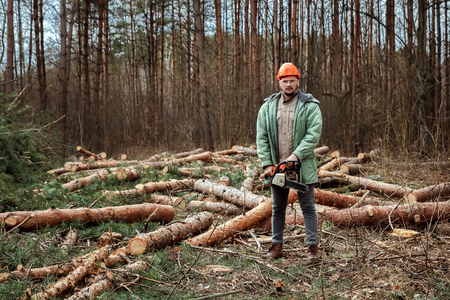 Logging, Worker in a protective suit with a chainsaw. Cutting down trees, forest destruction. The concept of industrial destruction of trees, causing harm to the environment.の写真素材