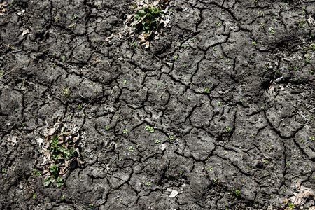 Dry, cracked earth, greens. The concept of drainage of land, lack of fresh water.の写真素材