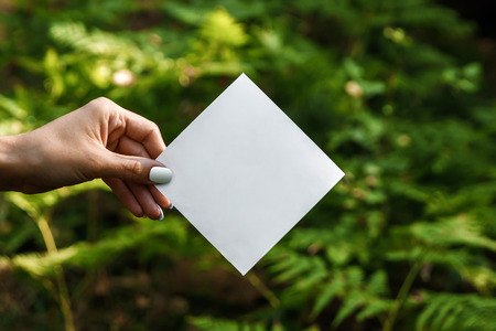 Rhombus paper frame, Creative layout, copy space. Empty for an advertising card or invitation. The nature of the concept. Summer poster. Flat lay. Nature backgroundの写真素材