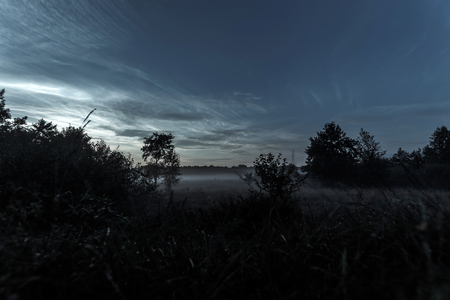 Mysterious, mystical, gloomy landscape at sunset, fog over the meadow. A magical twilight situation.の写真素材