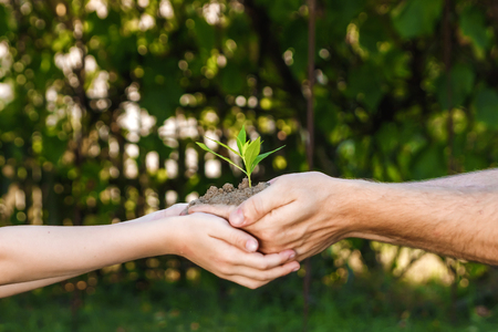 Hands of a man and child holding a young plant against a green natural background in spring. Ecology conceptの写真素材