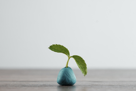 Green branch, sprout on a light background. The concept of the beginning of something new, a new life, a new beginning, rapid growth.の写真素材