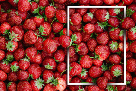 Fruit background, lots of strawberries, top view, white frame. Healthy food, fresh natural fruits, berries.の写真素材