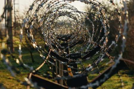 Barbed wire close-up. Conclusion, restriction of freedom.の写真素材