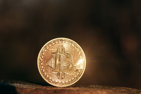 Bitcoin on the Background of Nature. Bitcoins gold color lie on the Stoneの写真素材
