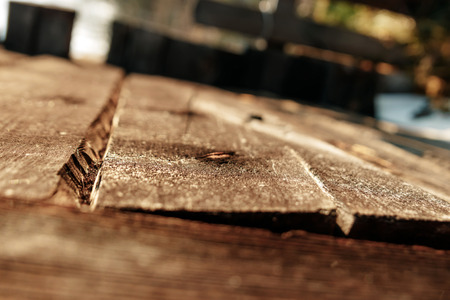 Table top and blur nature of the backgroundの写真素材